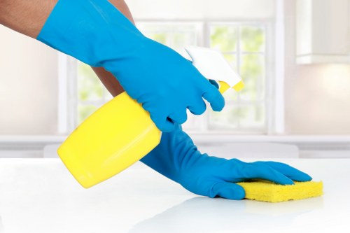 Professional oven cleaner servicing a kitchen oven in Belsizepark