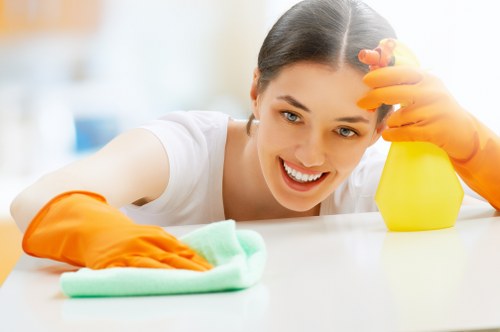 Professional office cleaners working in a Belsizepark workspace