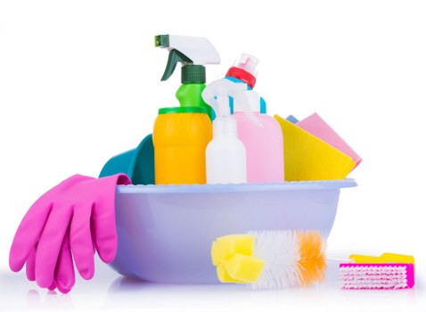 Deep carpet cleaning equipment in a Belsizepark property