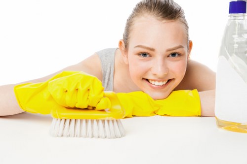 Local carpet cleaner treating a hallway carpet in Belsize Park