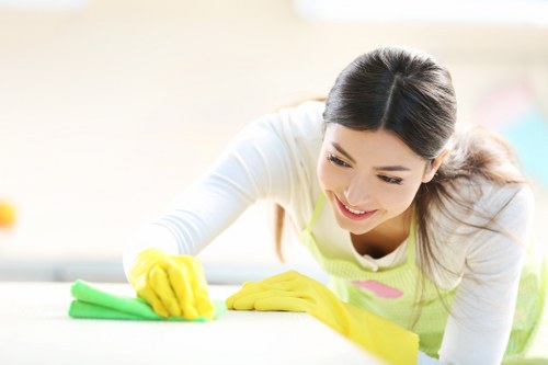 Deep oven cleaning service in a modern Belsizepark home
