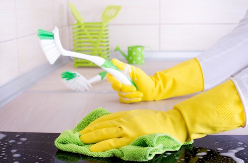 Fabric sofa care and maintenance in Belsizepark home