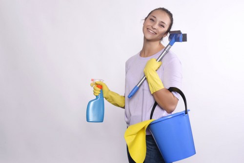 Local cleaning company delivering detailed property care