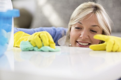 Different hard floor materials commonly cleaned in Belsizepark homes