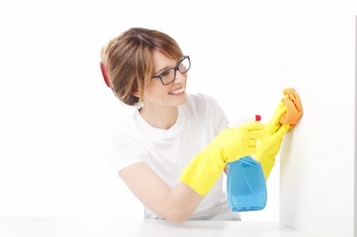 Professional cleaner in Belsizepark maintaining a bright living room