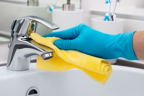 Bathroom cleaning in a Belsizepark property