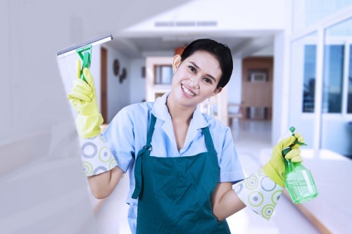 Deep carpet cleaning equipment in a Belsize Park home