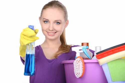Deep sofa cleaning process for upholstery in Belsizepark