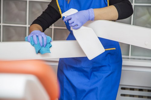 Domestic cleaning tools used by home cleaners in Belsizepark